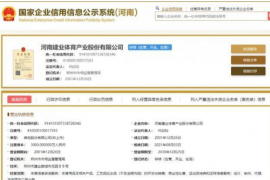 河南嵩山龙门足球俱乐部股份有限公司改名为河南建业体育产业股份有限公司