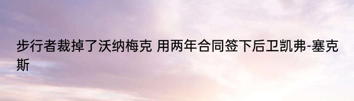 步行者裁掉了沃纳梅克 用两年合同签下后卫凯弗-塞克斯