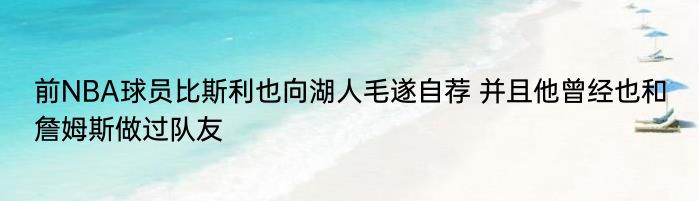 前NBA球员比斯利也向湖人毛遂自荐 并且他曾经也和詹姆斯做过队友