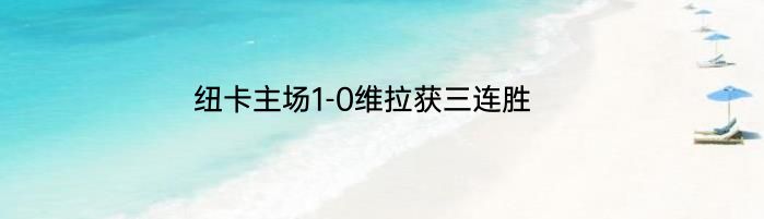 纽卡主场1-0维拉获三连胜