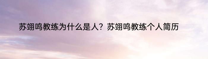 苏翊鸣教练为什么是人？苏翊鸣教练个人简历