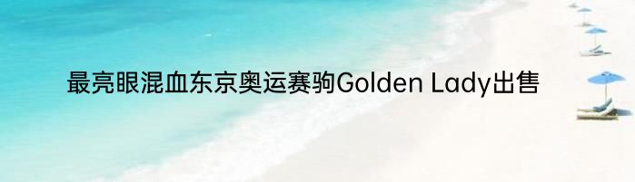 最亮眼混血东京奥运赛驹Golden Lady出售