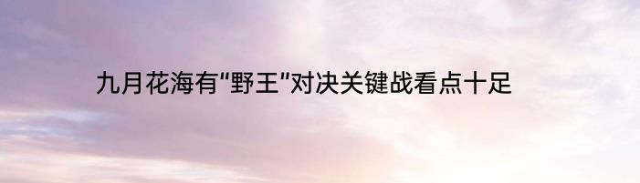 九月花海有“野王”对决关键战看点十足