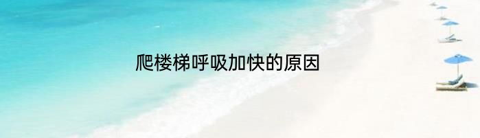 爬楼梯呼吸加快的原因