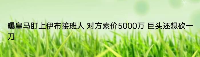 曝皇马盯上伊布接班人 对方索价5000万 巨头还想砍一刀