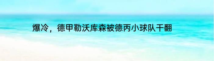 爆冷，德甲勒沃库森被德丙小球队干翻