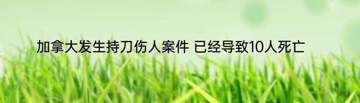 加拿大发生持刀伤人案件 已经导致10人死亡