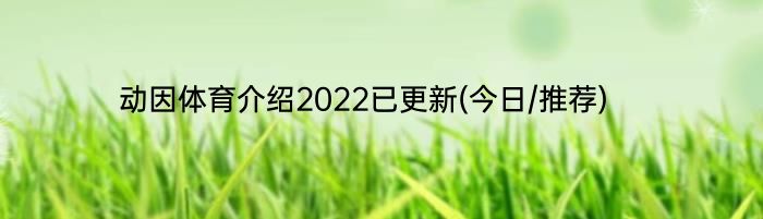 动因体育介绍2022已更新(今日/推荐)