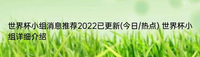 世界杯小组消息推荐2022已更新(今日/热点) 世界杯小组详细介绍