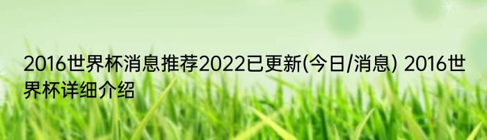 2016世界杯消息推荐2022已更新(今日/消息) 2016世界杯详细介绍