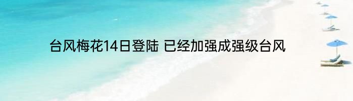 台风梅花14日登陆 已经加强成强级台风