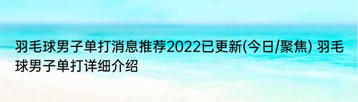 羽毛球男子单打消息推荐2022已更新(今日/聚焦) 羽毛球男子单打详细介绍