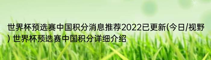 世界杯预选赛中国积分消息推荐2022已更新(今日/视野) 世界杯预选赛中国积分详细介绍