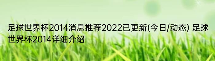 足球世界杯2014消息推荐2022已更新(今日/动态) 足球世界杯2014详细介绍