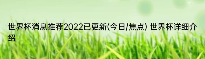 世界杯消息推荐2022已更新(今日/焦点) 世界杯详细介绍