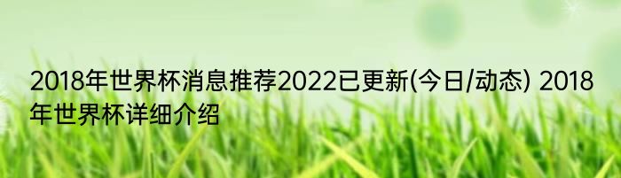 2018年世界杯消息推荐2022已更新(今日/动态) 2018年世界杯详细介绍