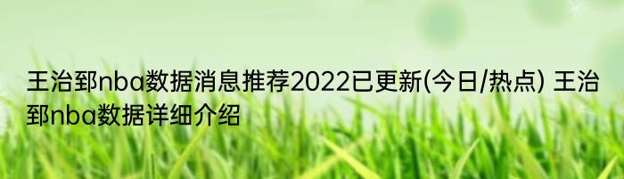 王治郅nba数据消息推荐2022已更新(今日/热点) 王治郅nba数据详细介绍