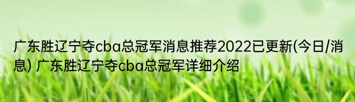 广东胜辽宁夺cba总冠军消息推荐2022已更新(今日/消息) 广东胜辽宁夺cba总冠军详细介绍