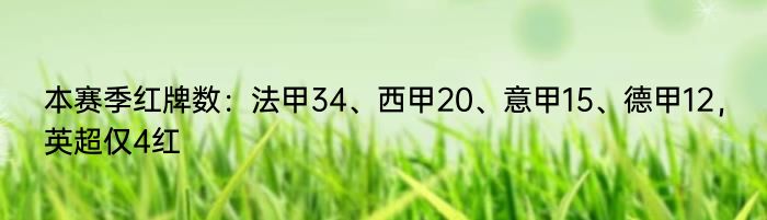 本赛季红牌数：法甲34、西甲20、意甲15、德甲12，英超仅4红