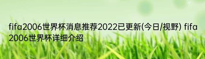 fifa2006世界杯消息推荐2022已更新(今日/视野) fifa2006世界杯详细介绍