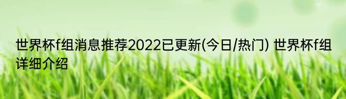 世界杯f组消息推荐2022已更新(今日/热门) 世界杯f组详细介绍