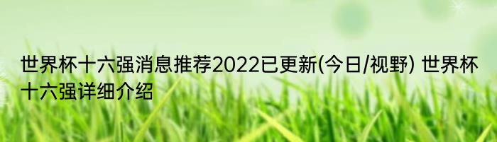 世界杯十六强消息推荐2022已更新(今日/视野) 世界杯十六强详细介绍