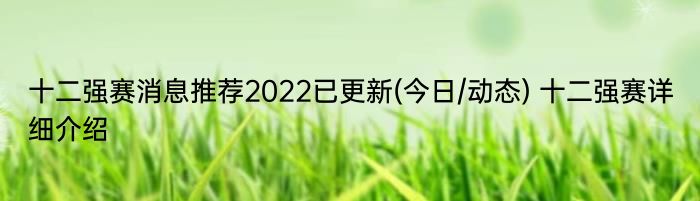 十二强赛消息推荐2022已更新(今日/动态) 十二强赛详细介绍