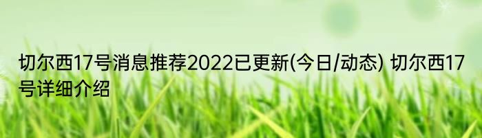 切尔西17号消息推荐2022已更新(今日/动态) 切尔西17号详细介绍