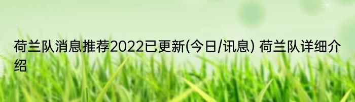 荷兰队消息推荐2022已更新(今日/讯息) 荷兰队详细介绍