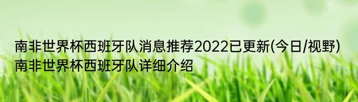 南非世界杯西班牙队消息推荐2022已更新(今日/视野) 南非世界杯西班牙队详细介绍