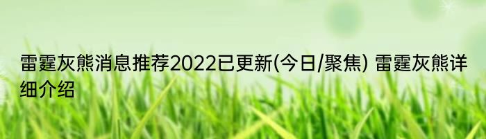 雷霆灰熊消息推荐2022已更新(今日/聚焦) 雷霆灰熊详细介绍