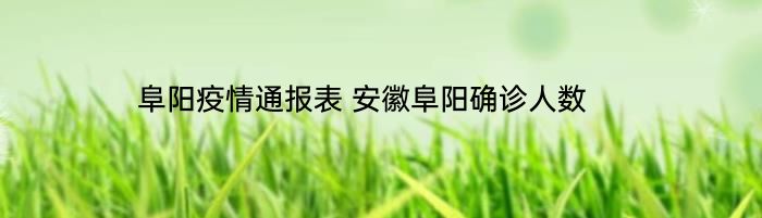 阜阳疫情通报表 安徽阜阳确诊人数