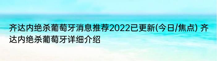 齐达内绝杀葡萄牙消息推荐2022已更新(今日/焦点) 齐达内绝杀葡萄牙详细介绍