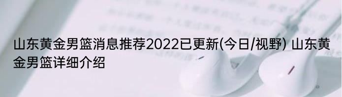 山东黄金男篮消息推荐2022已更新(今日/视野) 山东黄金男篮详细介绍