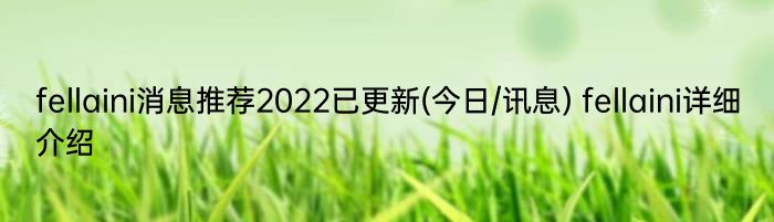 fellaini消息推荐2022已更新(今日/讯息) fellaini详细介绍