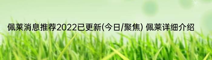 佩莱消息推荐2022已更新(今日/聚焦) 佩莱详细介绍