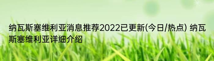 纳瓦斯塞维利亚消息推荐2022已更新(今日/热点) 纳瓦斯塞维利亚详细介绍