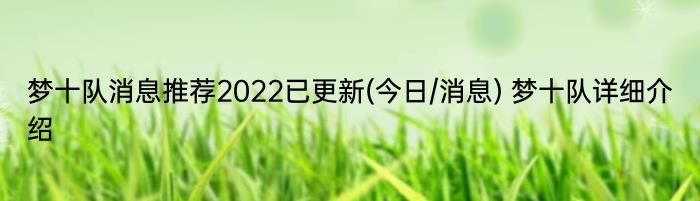 梦十队消息推荐2022已更新(今日/消息) 梦十队详细介绍