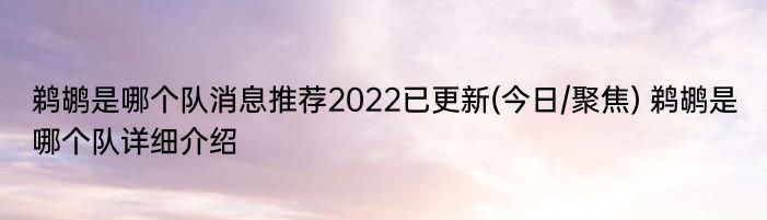 鹈鹕是哪个队消息推荐2022已更新(今日/聚焦) 鹈鹕是哪个队详细介绍