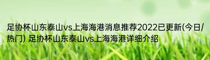 足协杯山东泰山vs上海海港消息推荐2022已更新(今日/热门) 足协杯山东泰山vs上海海港详细介绍