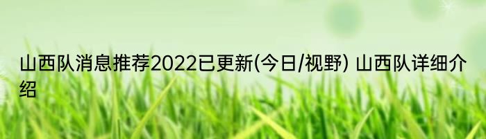 山西队消息推荐2022已更新(今日/视野) 山西队详细介绍