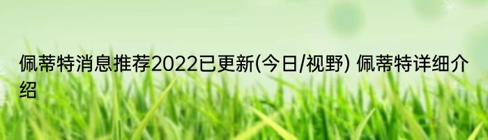 佩蒂特消息推荐2022已更新(今日/视野) 佩蒂特详细介绍