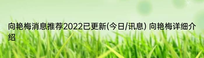 向艳梅消息推荐2022已更新(今日/讯息) 向艳梅详细介绍