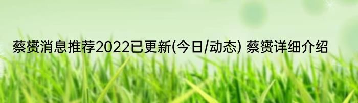 蔡赟消息推荐2022已更新(今日/动态) 蔡赟详细介绍