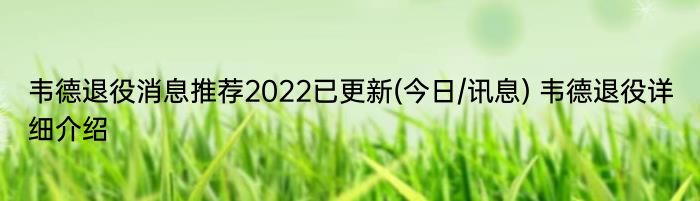 韦德退役消息推荐2022已更新(今日/讯息) 韦德退役详细介绍