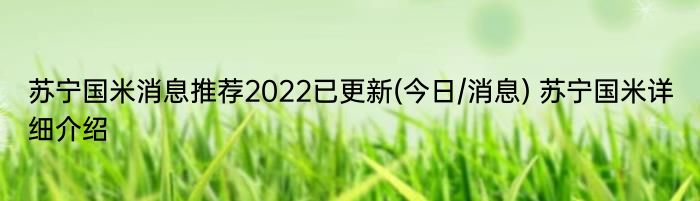 苏宁国米消息推荐2022已更新(今日/消息) 苏宁国米详细介绍