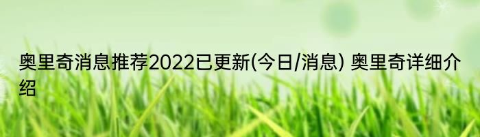 奥里奇消息推荐2022已更新(今日/消息) 奥里奇详细介绍