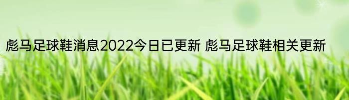 彪马足球鞋消息2022今日已更新 彪马足球鞋相关更新