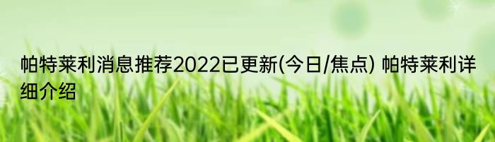 帕特莱利消息推荐2022已更新(今日/焦点) 帕特莱利详细介绍