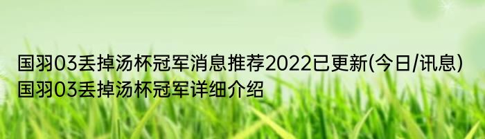 国羽03丢掉汤杯冠军消息推荐2022已更新(今日/讯息) 国羽03丢掉汤杯冠军详细介绍